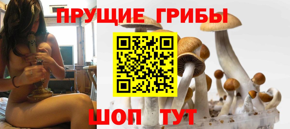 Татарск  Галлюциногенные грибы MAGIC MUSHROOMS  Галлюциногенные грибы Psilocybine cubensis  Вход с VPN 